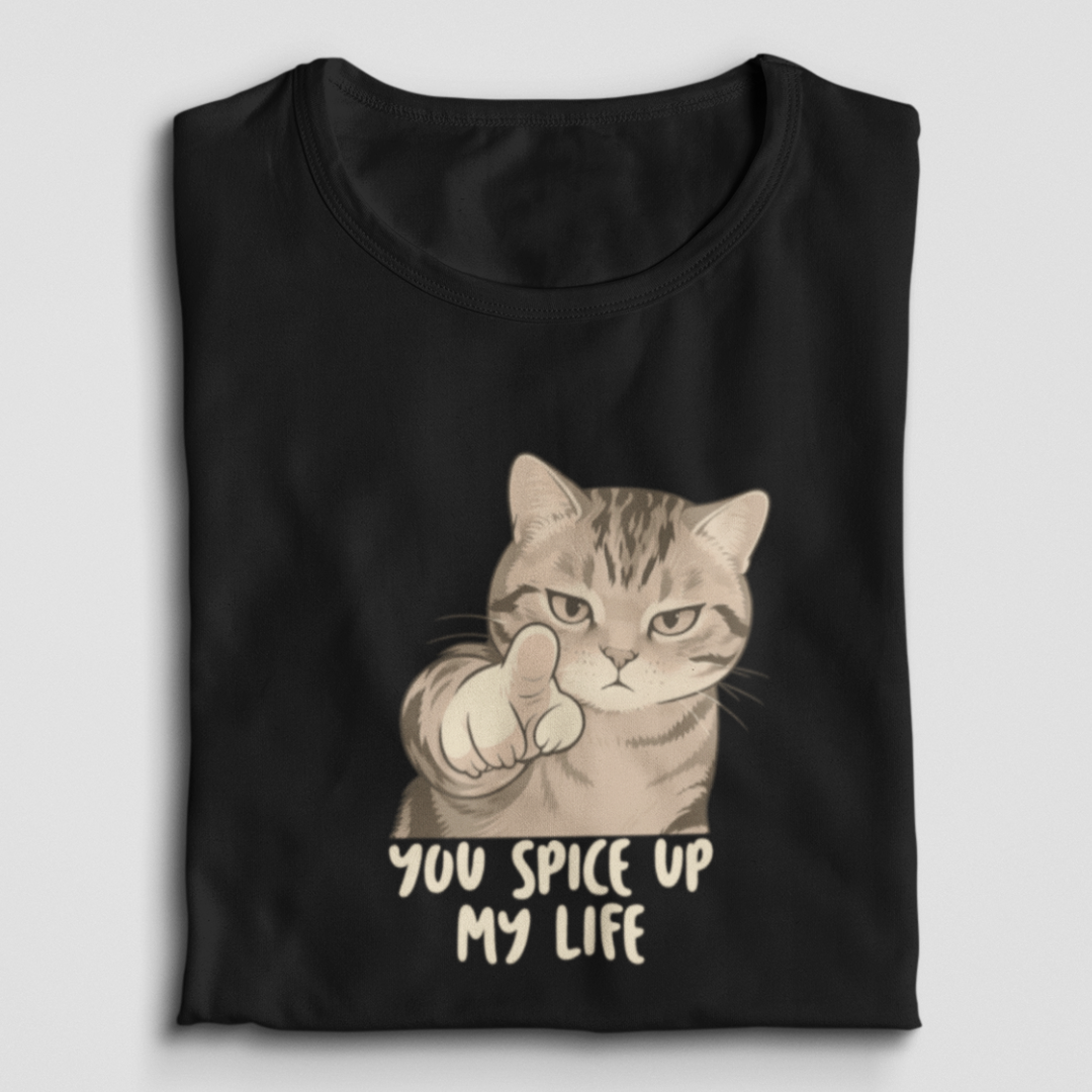 You Spice Up My Life